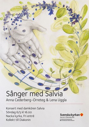 sanger-med-salvia