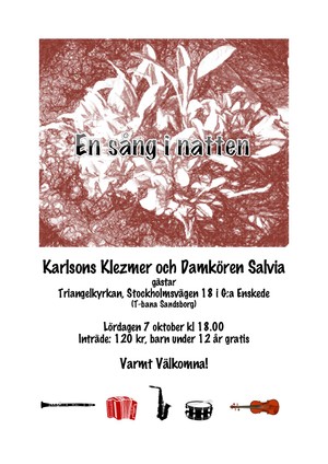 en-sang-i-natten